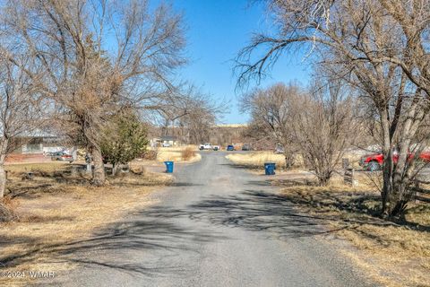 Tiny photo for 441 N West Street, Springerville, AZ 85938 (MLS # 253927)