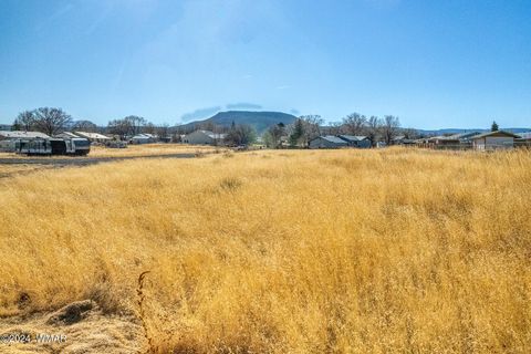Tiny photo for 441 N West Street, Springerville, AZ 85938 (MLS # 253927)