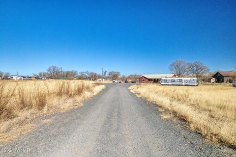 Tiny photo for 441 N West Street, Springerville, AZ 85938 (MLS # 253927)
