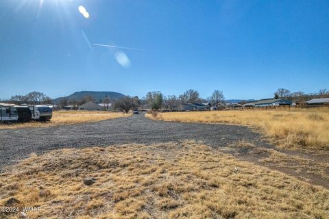 Tiny photo for 441 N West Street, Springerville, AZ 85938 (MLS # 253927)