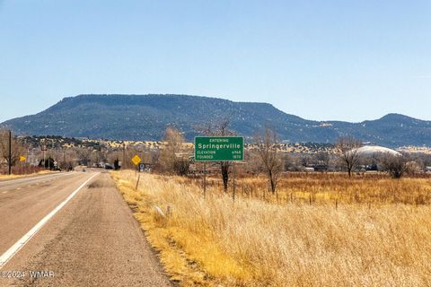 Tiny photo for 441 N West Street, Springerville, AZ 85938 (MLS # 253927)