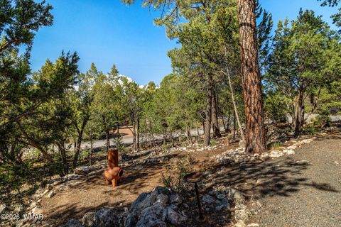 Tiny photo for 3370 Turkey Run, Overgaard, AZ 85928 (MLS # 261291)