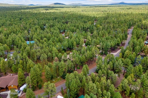 Tiny photo for 3052 Madison Lane, Pinetop, AZ 85935 (MLS # 263132)