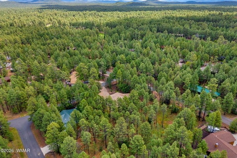Tiny photo for 3052 Madison Lane, Pinetop, AZ 85935 (MLS # 263132)