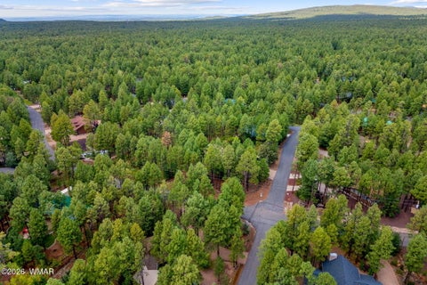 Tiny photo for 3052 Madison Lane, Pinetop, AZ 85935 (MLS # 263132)