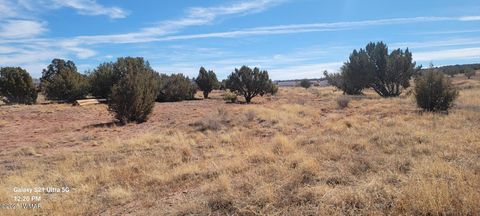 Tiny photo for TBD Huckleberry Lane, Taylor, AZ 85939 (MLS # 254727)