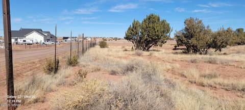 Tiny photo for TBD Huckleberry Lane, Taylor, AZ 85939 (MLS # 254727)