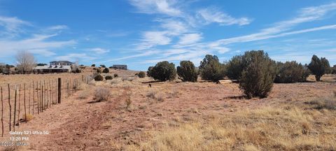 Tiny photo for TBD Huckleberry Lane, Taylor, AZ 85939 (MLS # 254727)