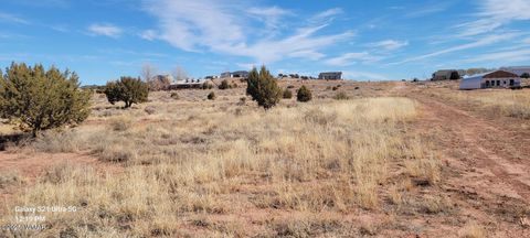 Tiny photo for TBD Huckleberry Lane, Taylor, AZ 85939 (MLS # 254727)