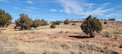 Tiny photo for TBD Huckleberry Lane, Taylor, AZ 85939 (MLS # 254727)