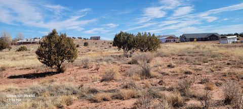 Tiny photo for TBD Huckleberry Lane, Taylor, AZ 85939 (MLS # 254727)