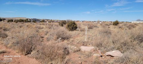 Tiny photo for TBD Huckleberry Lane, Taylor, AZ 85939 (MLS # 254727)