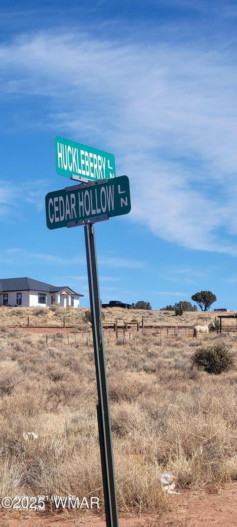 Tiny photo for TBD Huckleberry Lane, Taylor, AZ 85939 (MLS # 254727)