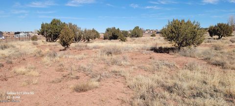 Tiny photo for TBD Huckleberry Lane, Taylor, AZ 85939 (MLS # 254727)