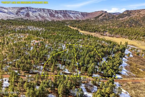 Tiny photo for 9 Co Rd 2269, Nutrioso, AZ 85932 (MLS # 259373)