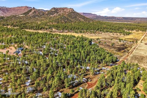 Tiny photo for 9 Co Rd 2269, Nutrioso, AZ 85932 (MLS # 259373)