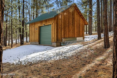 Tiny photo for 9 Co Rd 2269, Nutrioso, AZ 85932 (MLS # 259373)