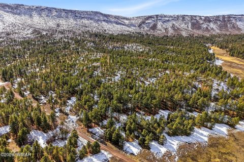 Tiny photo for 9 Co Rd 2269, Nutrioso, AZ 85932 (MLS # 259373)