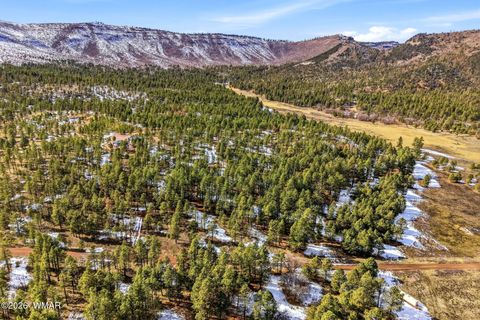 Tiny photo for 9 Co Rd 2269, Nutrioso, AZ 85932 (MLS # 259373)