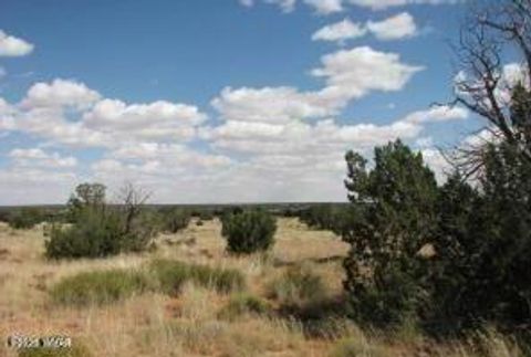 Tiny photo for Sec 19 T15N, R16E, Heber, AZ 85928 (MLS # 256387)