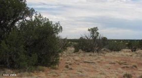 Photo of Sec 19 T15N, R16E, Heber, AZ 85928 (MLS # 256387)