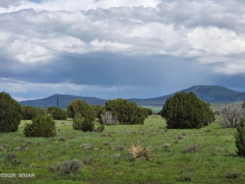 Photo of 14 N3111, Vernon, AZ 85940 (MLS # 262705)