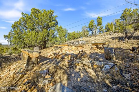 Tiny photo for 1864 Little Doe Trail, Heber, AZ 85928 (MLS # 258964)