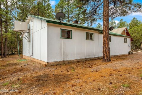 Tiny photo for 2124 Indian Trail, Overgaard, AZ 85933 (MLS # 258335)