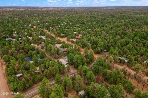 Tiny photo for 2124 Indian Trail, Overgaard, AZ 85933 (MLS # 258335)