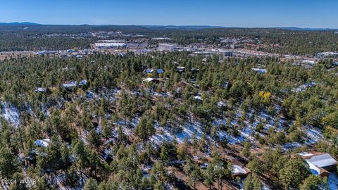 Tiny photo for 4383 S 24Th Street, Show Low, AZ 85901 (MLS # 253611)