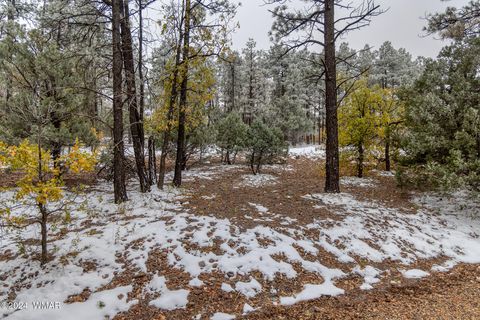 Tiny photo for 4383 S 24Th Street, Show Low, AZ 85901 (MLS # 253611)