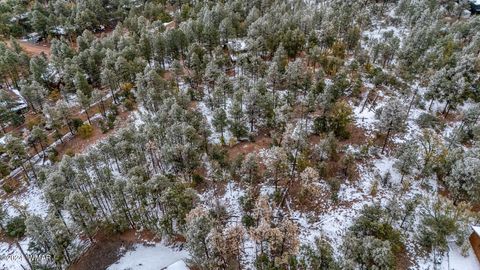 Tiny photo for 4383 S 24Th Street, Show Low, AZ 85901 (MLS # 253611)