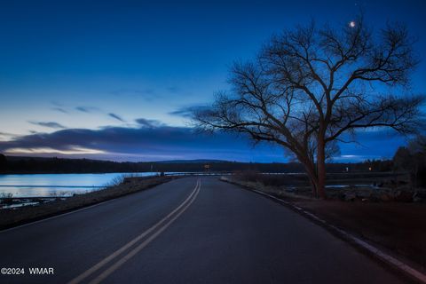 Tiny photo for 4383 S 24Th Street, Show Low, AZ 85901 (MLS # 253611)