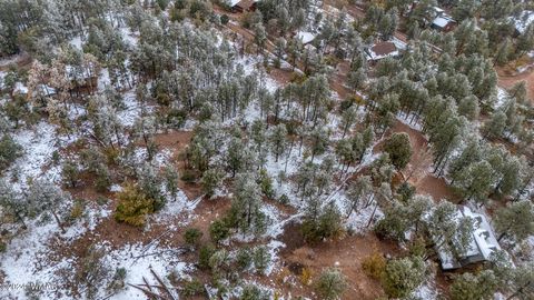 Tiny photo for 4383 S 24Th Street, Show Low, AZ 85901 (MLS # 253611)