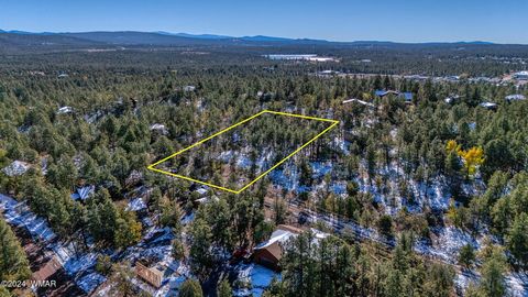 Tiny photo for 4383 S 24Th Street, Show Low, AZ 85901 (MLS # 253611)