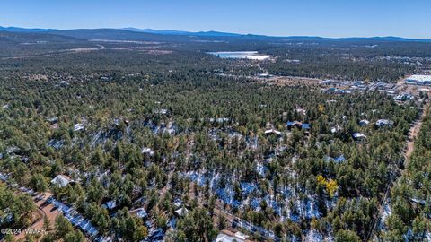 Tiny photo for 4383 S 24Th Street, Show Low, AZ 85901 (MLS # 253611)