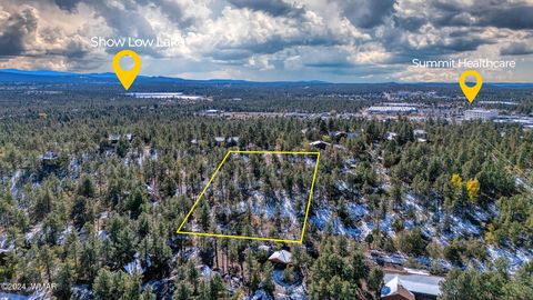 Photo of 4383 S 24Th Street, Show Low, AZ 85901 (MLS # 253611)