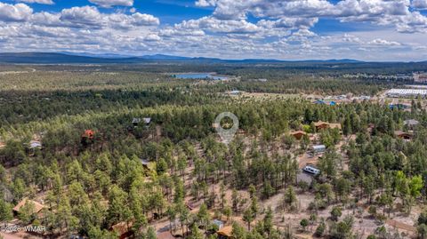 Photo of 4383 S 24Th Street, Show Low, AZ 85901 (MLS # 253611)