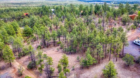 Tiny photo for 4383 S 24Th Street, Show Low, AZ 85901 (MLS # 253611)