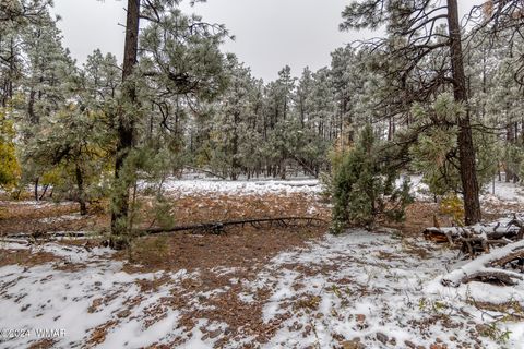 Tiny photo for 4383 S 24Th Street, Show Low, AZ 85901 (MLS # 253611)