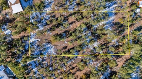 Tiny photo for 4383 S 24Th Street, Show Low, AZ 85901 (MLS # 253611)