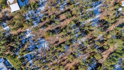 Tiny photo for 4383 S 24Th Street, Show Low, AZ 85901 (MLS # 253611)