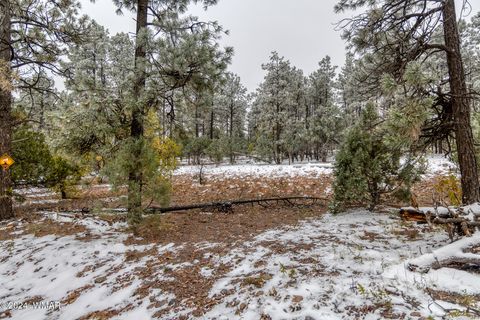 Tiny photo for 4383 S 24Th Street, Show Low, AZ 85901 (MLS # 253611)