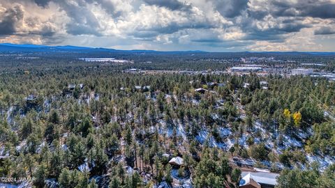 Tiny photo for 4383 S 24Th Street, Show Low, AZ 85901 (MLS # 253611)