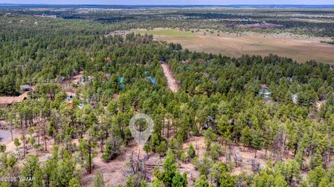 Tiny photo for 4383 S 24Th Street, Show Low, AZ 85901 (MLS # 253611)
