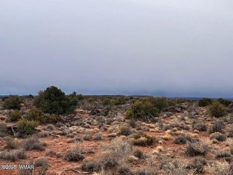 Photo of 8698 Yaqui Lane, Snowflake, AZ 85937 (MLS # 257705)