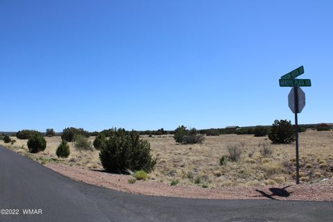 Tiny photo for 7709 Arroyo Plata Drive, Show Low, AZ 85901 (MLS # 241561)