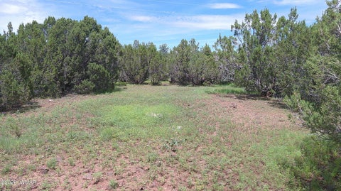 Tiny photo for 19 N3133, Vernon, AZ 85940 (MLS # 262804)