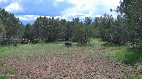 Tiny photo for 19 N3133, Vernon, AZ 85940 (MLS # 262804)