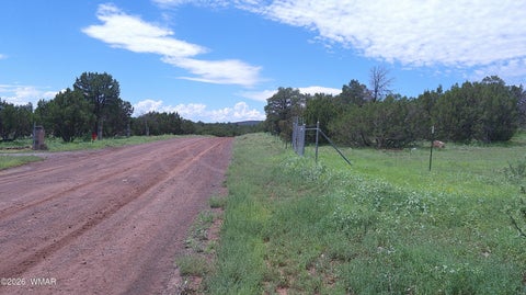 Tiny photo for 19 N3133, Vernon, AZ 85940 (MLS # 262804)